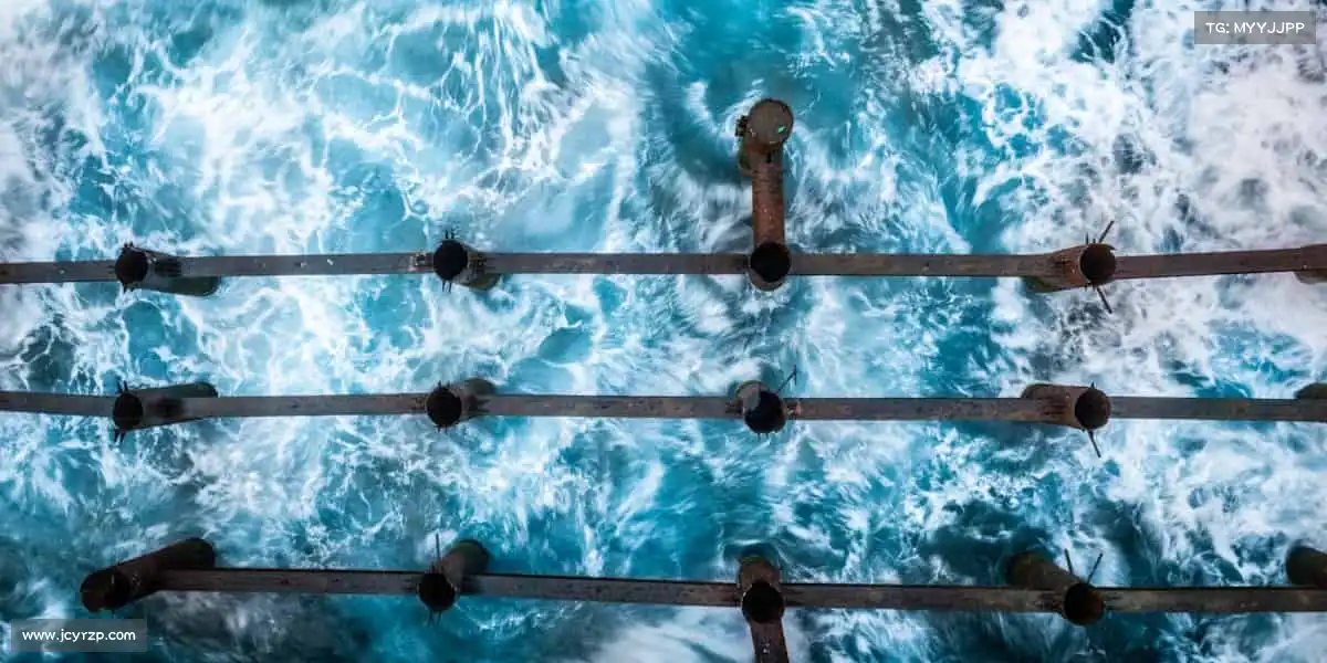 我们的核心竞争力